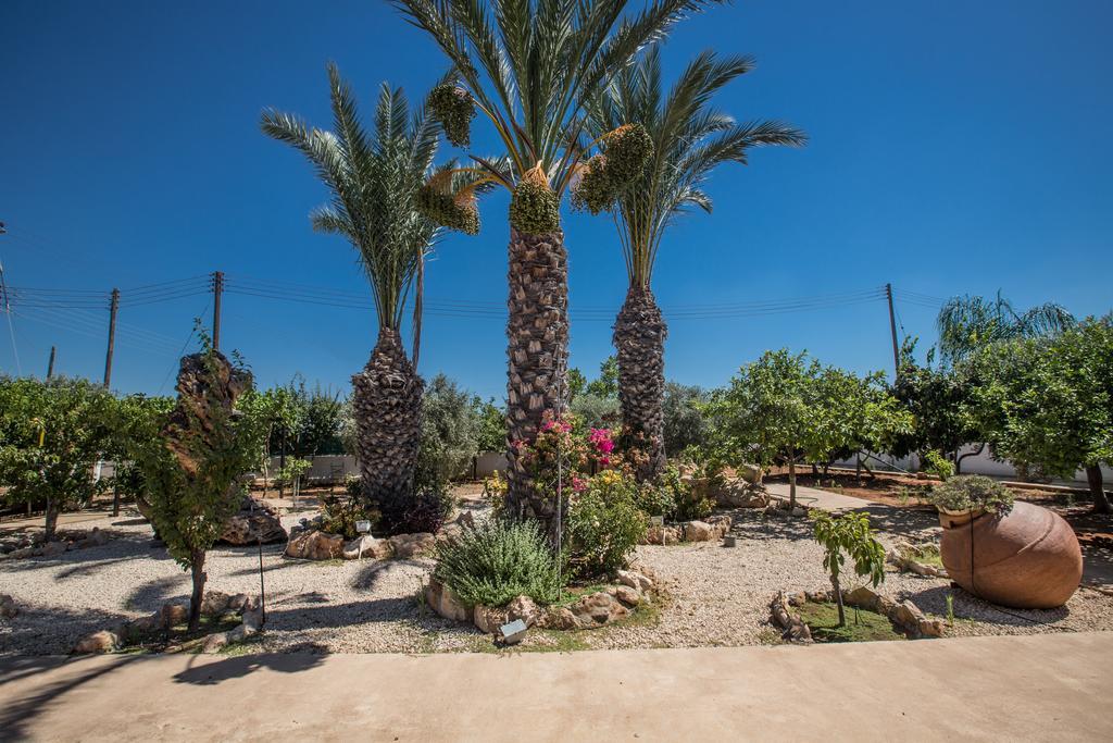Papas Family Villa Paralimni Dış mekan fotoğraf